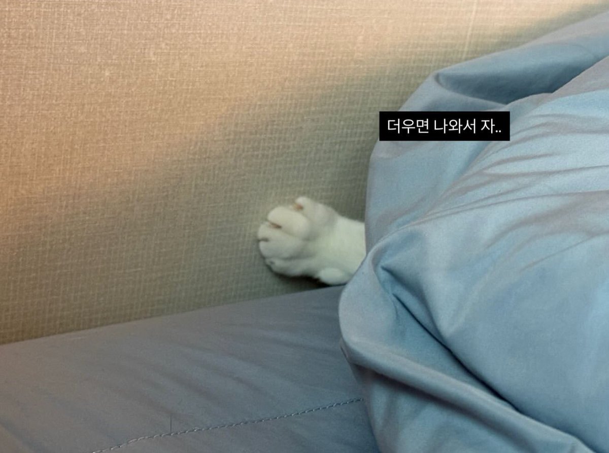 ㄱㅇㅇ!!!!!!!!! 저 앙증맞은 발 봐ㅠㅜㅜ