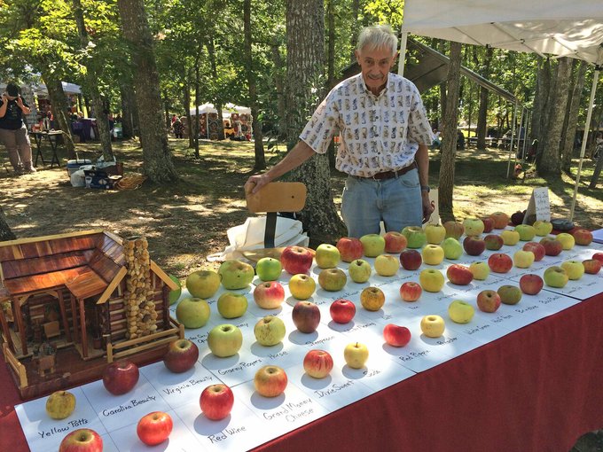 The story of Tom Brown, the retired engineer that became 'apple hunter', rescuing over 1,000 'lost' varieties in the last 25 years

Retired chemical engineer, he began his quest to find and preserve lost apple varieties around more than 25 years ago. 

The man who owns an apple