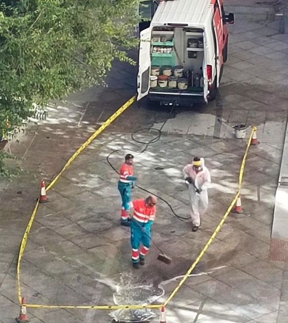 Información de servicio público para el pueblo de Madrid.
Si vuestra calle está llena de mierda, pintad una bandera de Palestina, que Almeida os manda a los operarios en menos de 24 horas.

Porque "seremos fascistas, pero sabemos gobernar".

#Gaza #Genocidio #Israel