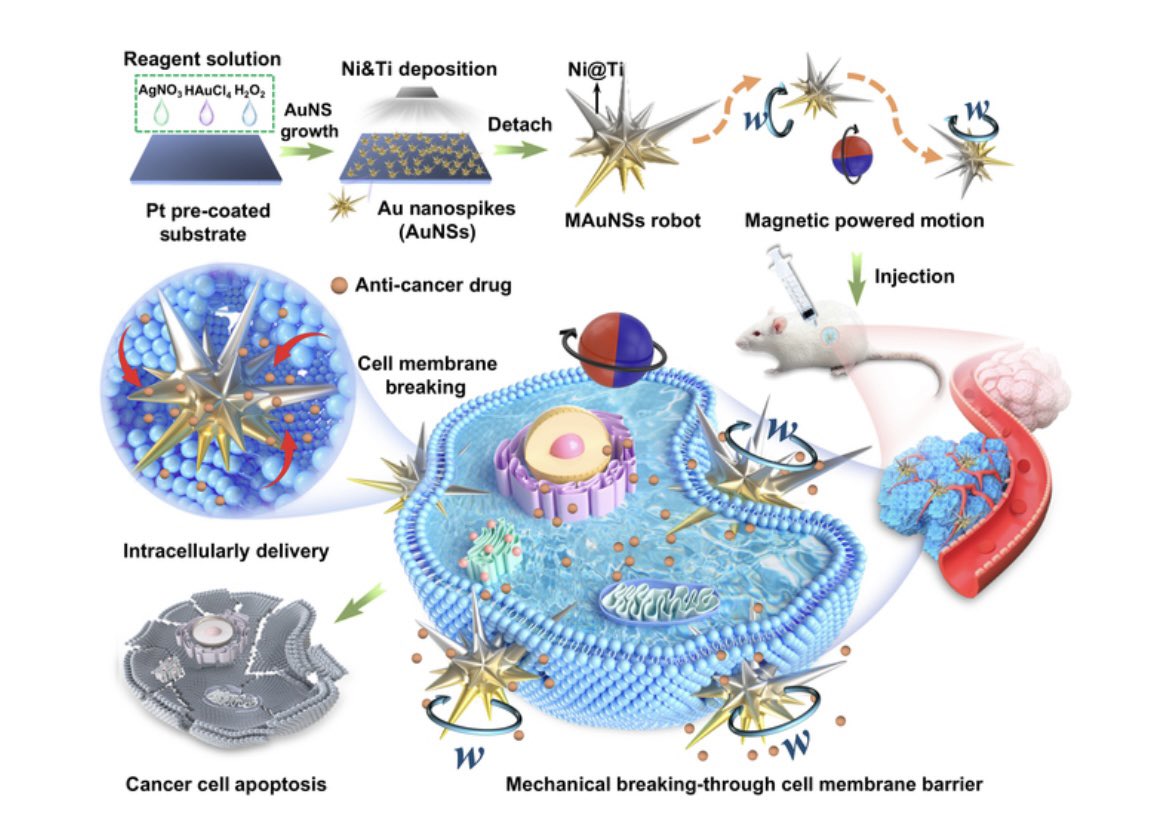 Research_Jrnl's tweet image. Mechanical Agitation-Assisted Transmembrane Drug Delivery by Magnetically Powered Spiky #Nanorobots. Click the link below to read this free, open access article. doi.org/10.34133/resea…