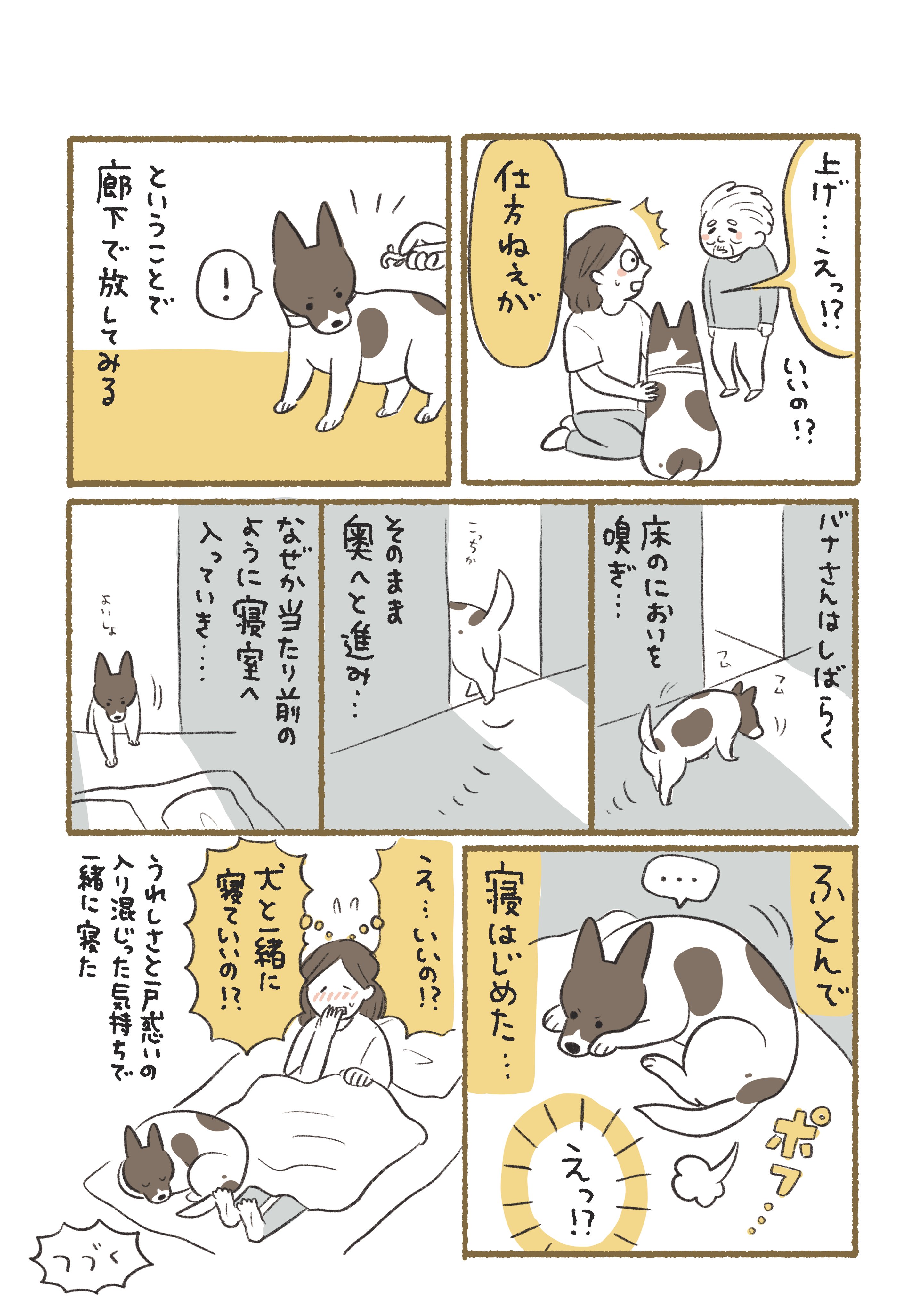 いぬクラゲ (@dogkurage) / X