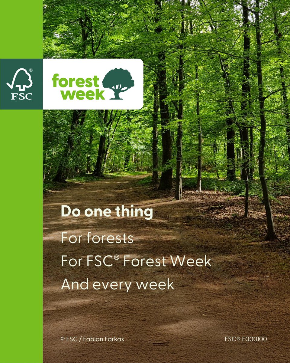 FSC_IC's tweet image. Shift your focus to the forests. Make your one thing, your business. As influential companies, institutions and individuals we must keep each other accountable. To protect our work, ourselves, and our forests.  

fsc.org/forestweek #FSCForestWeek