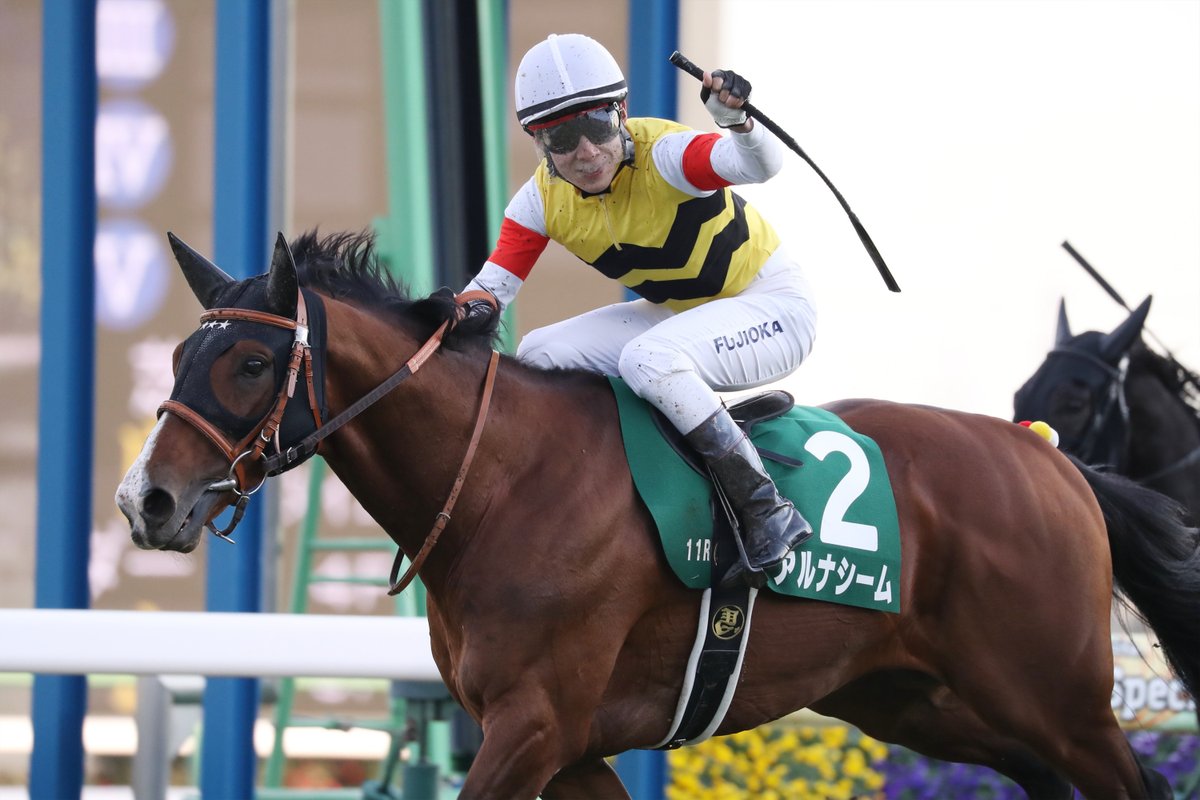 JRA-VAN公式 on X: 