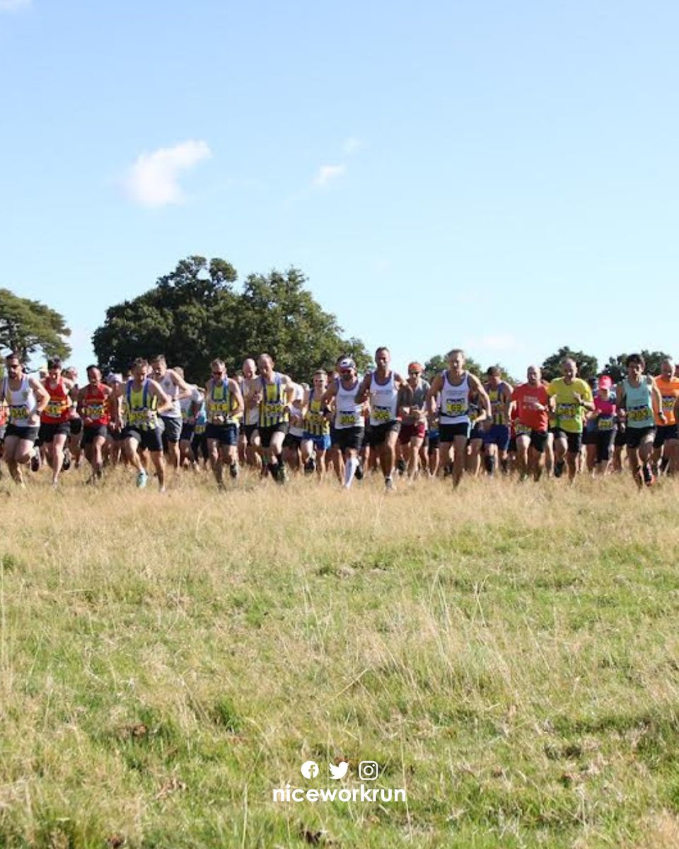 Nice Work tweet media