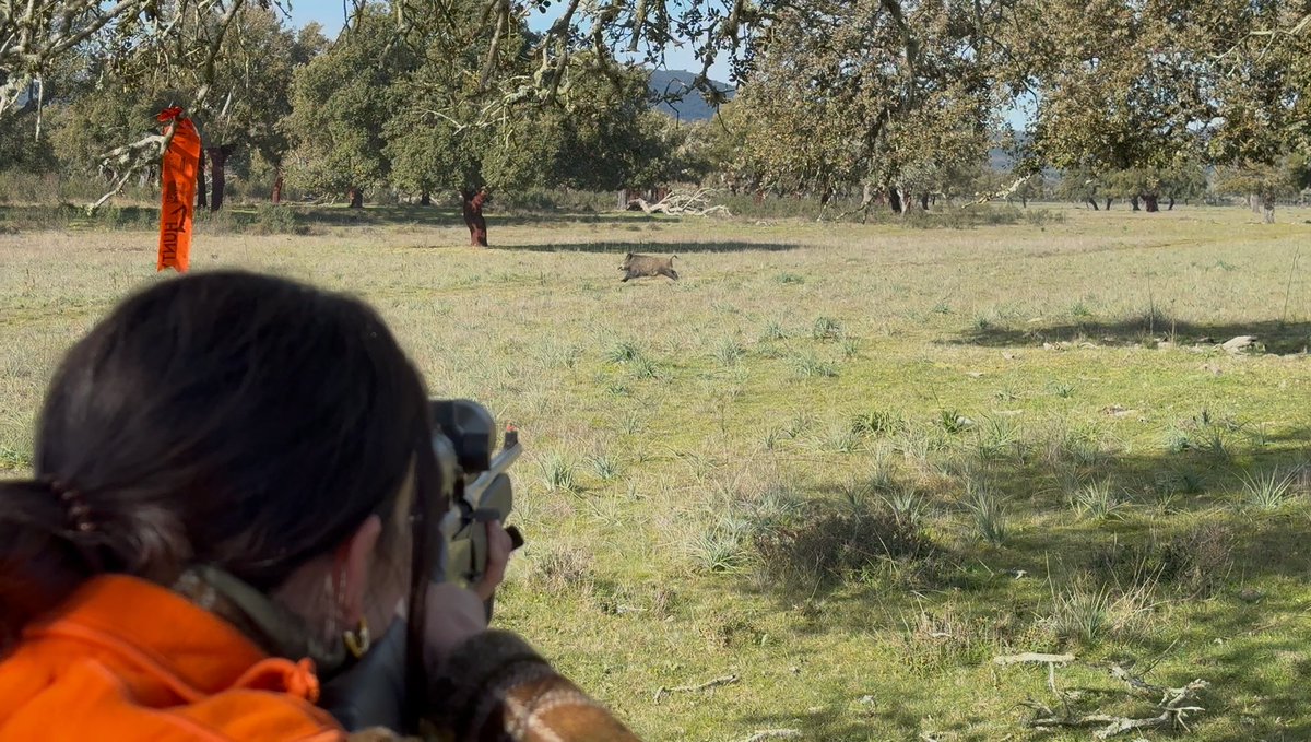 🐗🦌 Este domingo, 28 de septiembre, comienza una nueva temporada de monterías en Castilla y León.

🦺 Máxima precaución en nuestras jornadas colectivas de caza.

<a href="/Mutuasport/">MUTUASPORT</a> 
Hazte mutualista. FEDÉRATE y protege lo que amas.

💪🏻 Unidos, somos y seremos más fuertes.