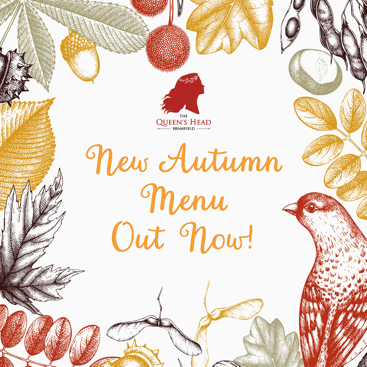 ๐๐ฎ๐๐๐ง๐ฌ ๐๐๐๐ ๐๐ซ๐๐ฆ๐๐ข๐๐ฅ๐ tweet media