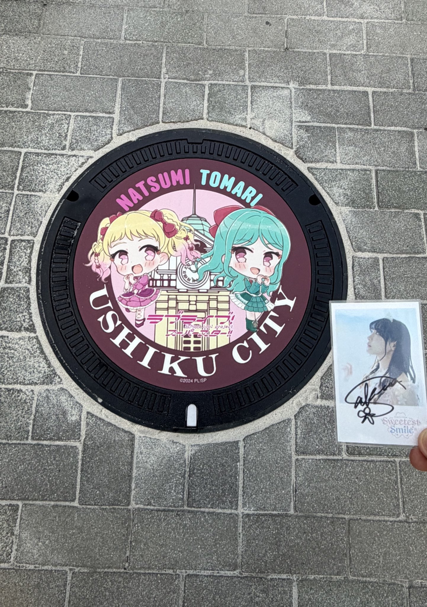 どんぐり🌸🐈 on X: 