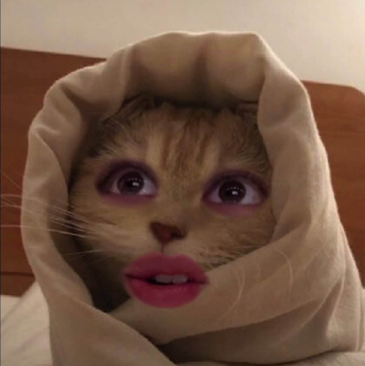 凌大さん急に猫さんになったのかわいすぎたฅ( ˙꒳​˙ ฅ)