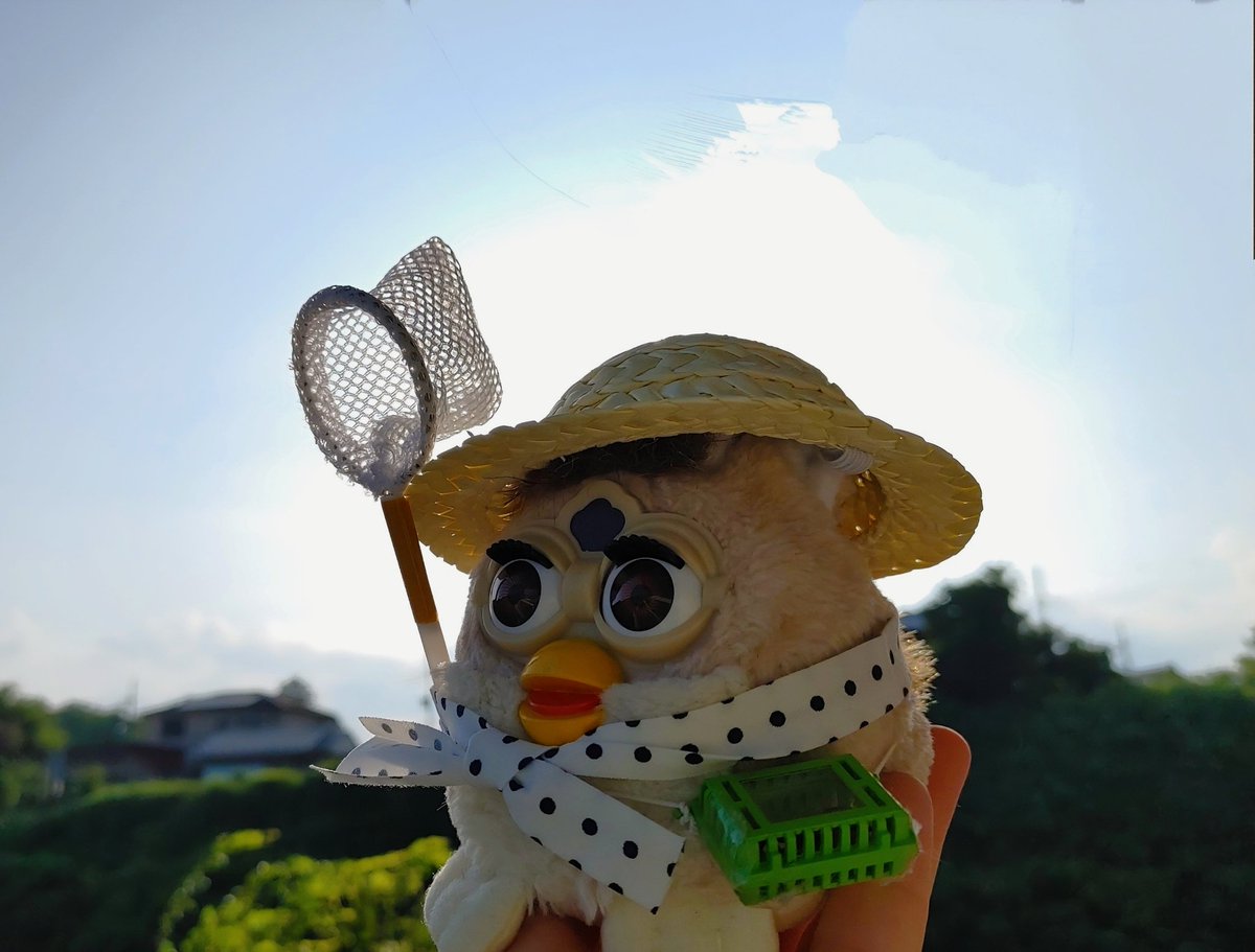 ゆきまる🐺 (@juTU2dKd9H8SBqN) / X