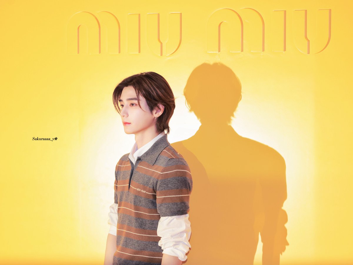 아니 그림자 어깨좀 봐