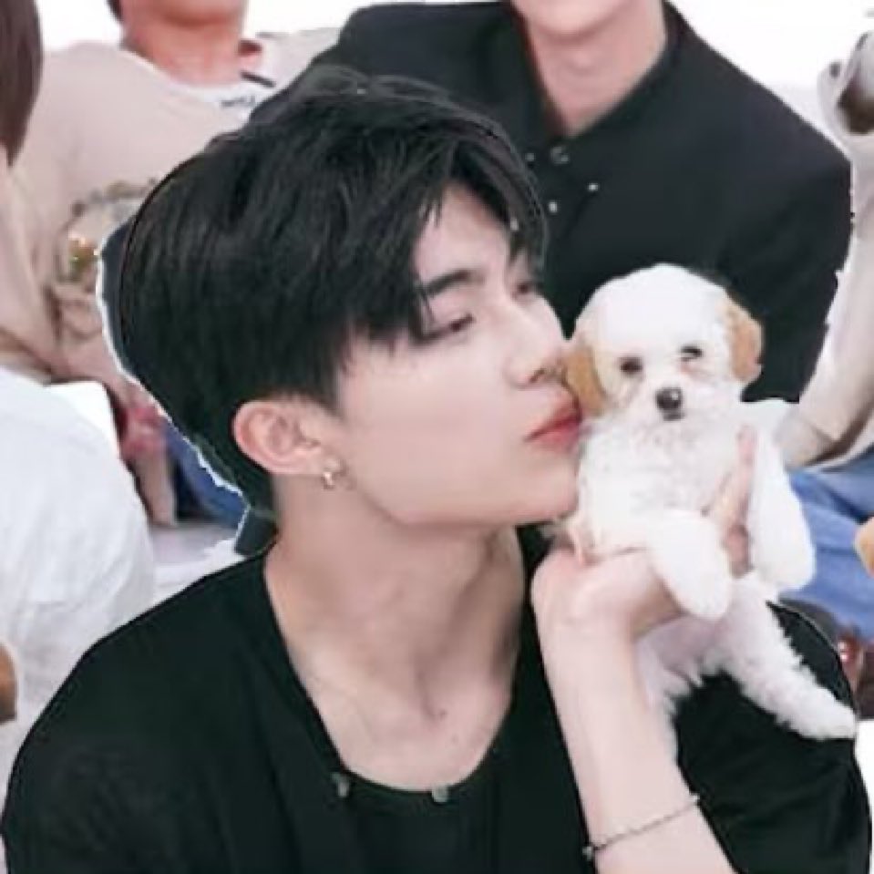 OH LORD WHICH ONE IS THE PUPPY 💔