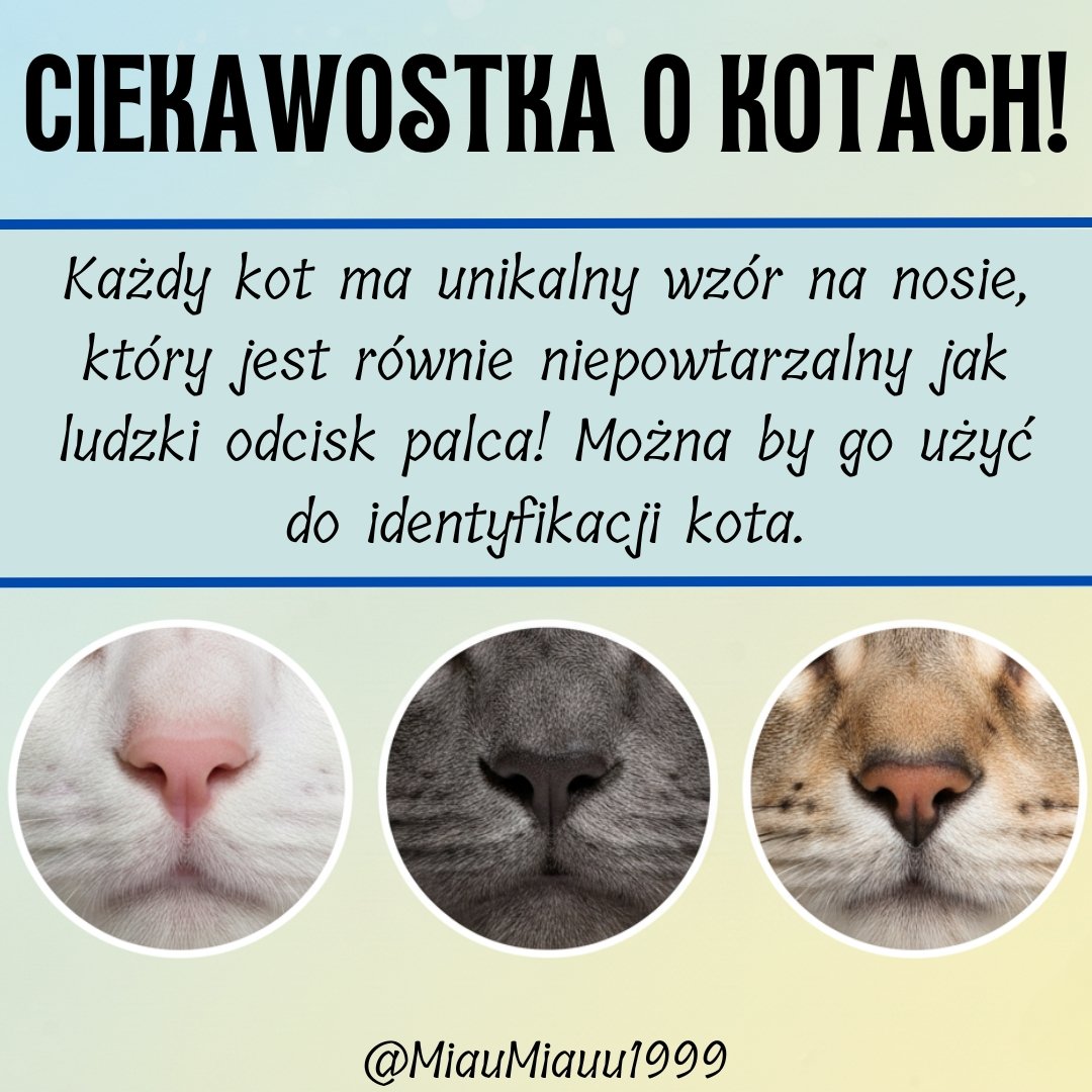 🐾 Kocia ciekawostka! Czy wiesz, że... nosek Twojego kota jest tak samo unikalny jak ludzki odcisk palca? 🤯

Każdy kot ma swój niepowtarzalny wzór na nosku. To ich osobisty dowód tożsamości!

A jak wygląda nosek Twojego pupila? Pokaż zdjęcie! 👇

#Ciekawostki #MiłośnicyKotów