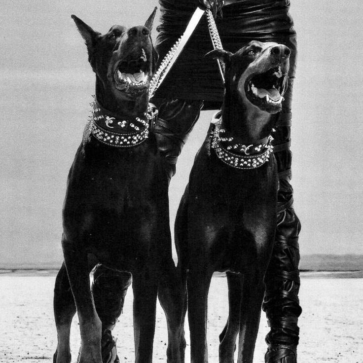 MOB TIES 

NEW DROP 

on.soundcloud.com/y6m3jbo22gQXYc…