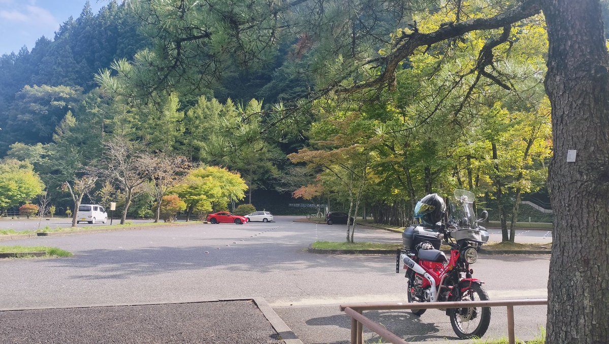 奥多摩
山中湖の方とか上の方は少し色づき始めてる