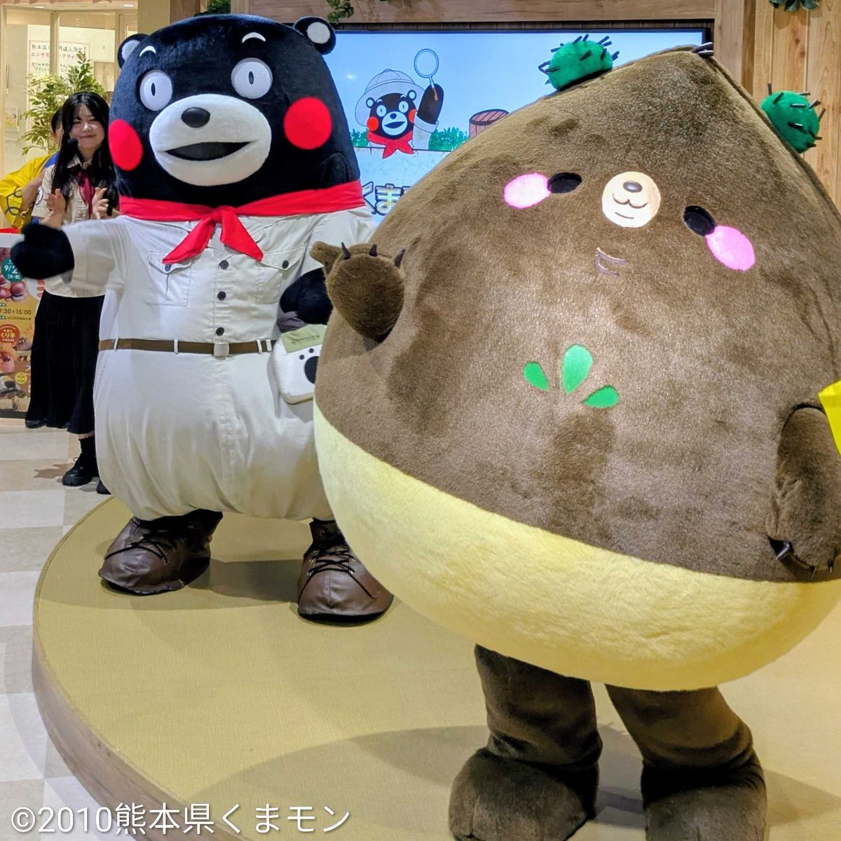 くまモンビレッジ kumamon village (@kumamon_village) / X