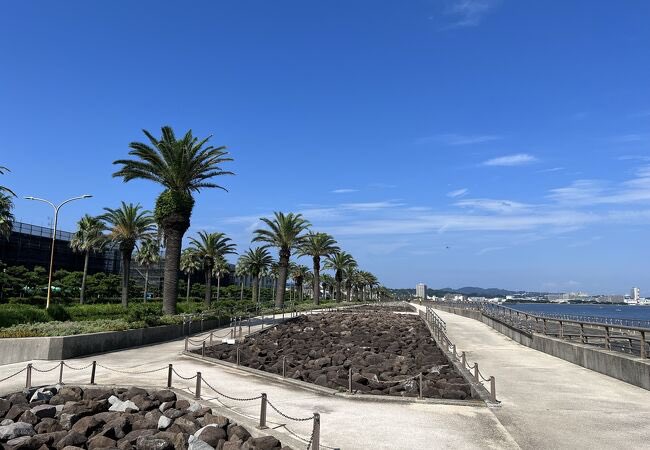 今日は防衛大の闇をお伝えします。