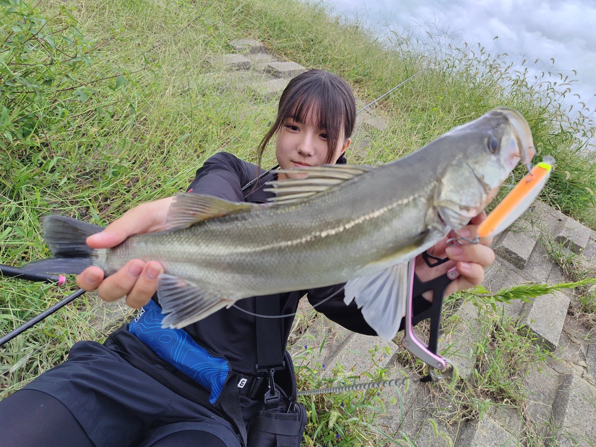 釣り好きパパ あおパパ (@aopapa_aopro) / X