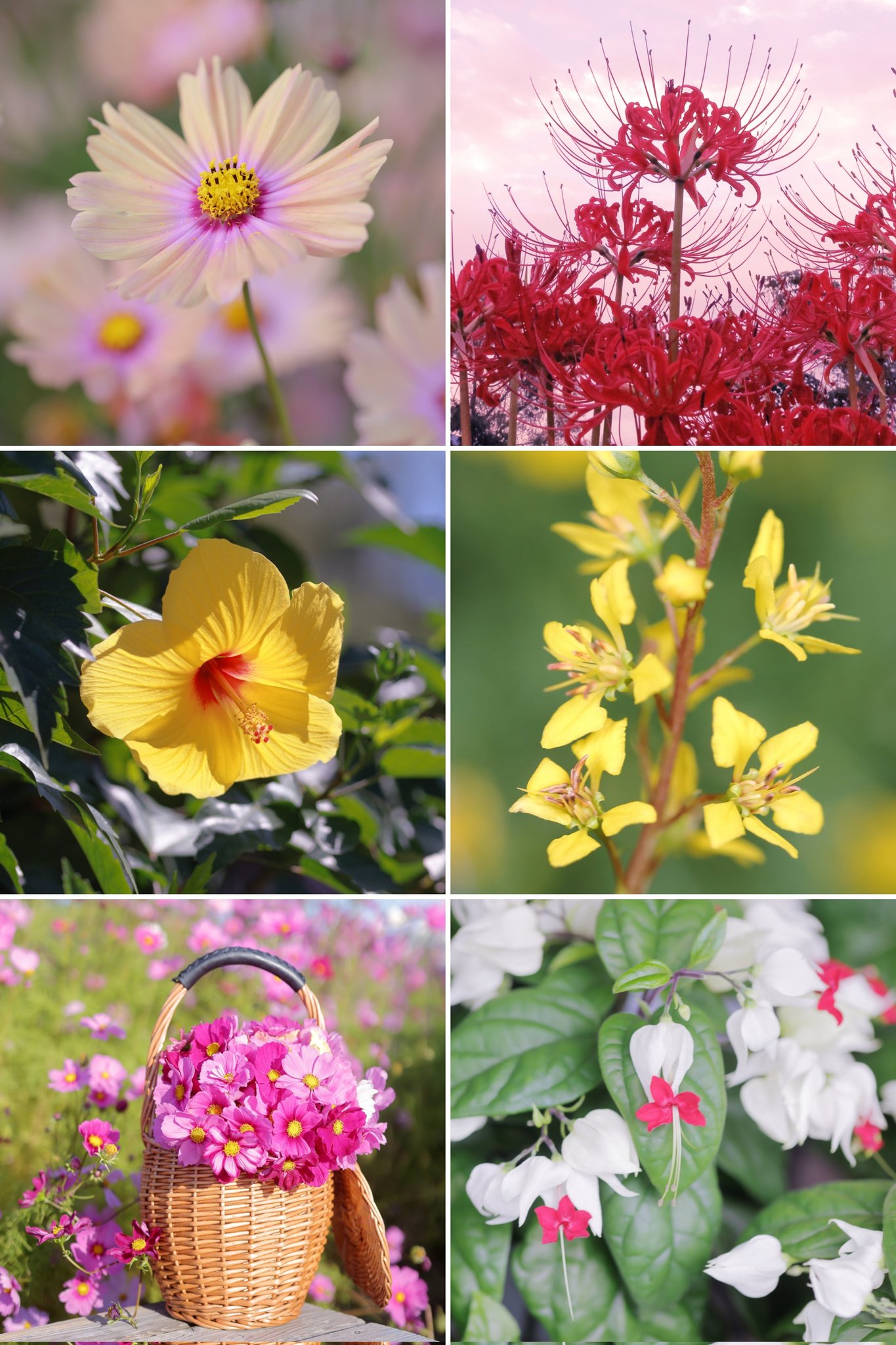 \[V}KWwRXfBAhbgR!!x:ŐV𐏎XV!!