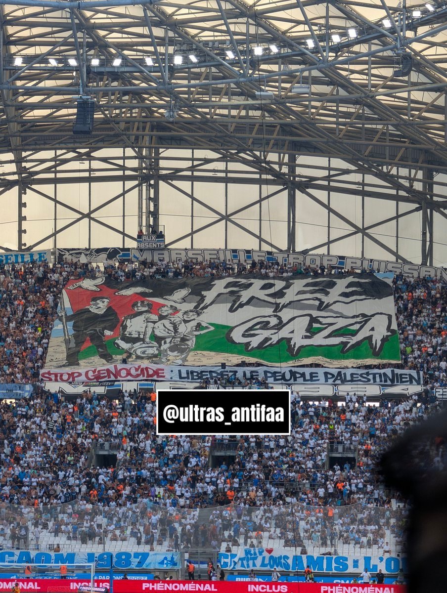 jacksonhinklle's tweet image. "FREE GAZA" 

"STOP GENOCIDE: FREE THE PALESTINIAN PEOPLE"

France is on the RIGHT side of history!