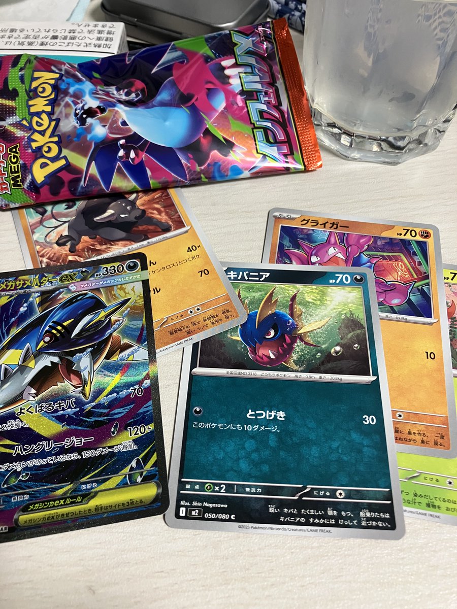 インフェルノ、セブン寄って1パック制限だったけど買ってきた。
メガサメハダーRRww