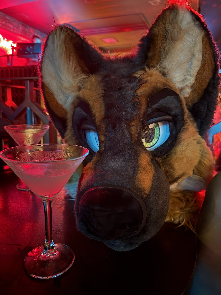 Happy #FursuitFriday <a href="/LondonFurs/">LondonFurs</a> 

Look into those eyes . So do you feel warm and cuddly now . Who wants to get a drink with this cute and fluffy doggo ! The weekend is nearly here so make it happen ! 

🪡 JawsNPaws 
🐶 Merlinthefluffy 
🏠AterDark - London