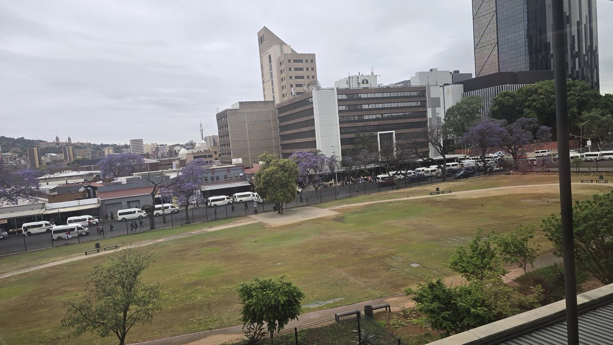 nasiphim's tweet image. This is why we are called the Jacaranda City: Purple blooms all around 🇿🇦♥️🇿🇦
