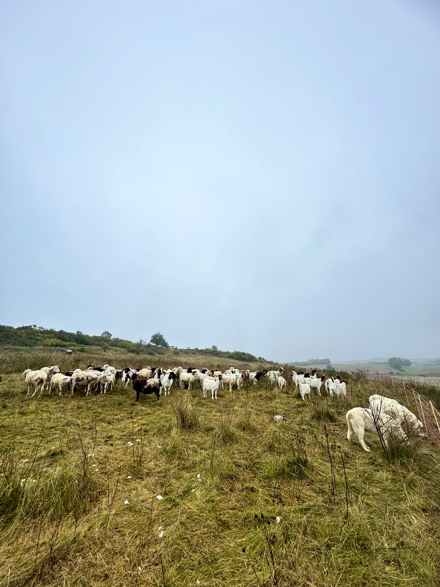 Mystischer Morgen.
Fast wie November.