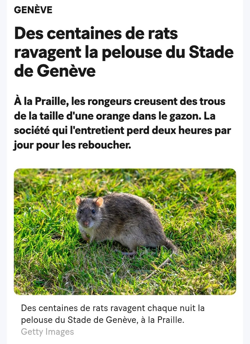 Donc les plus malins ont encore changé d'endroit dans le stade ????