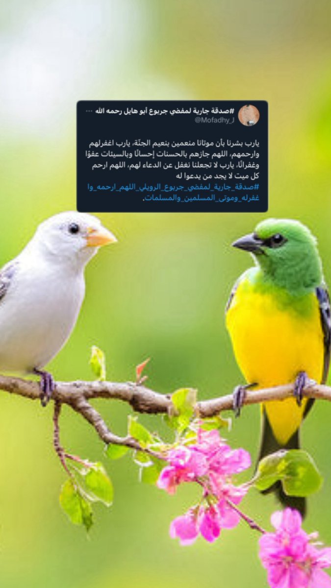#صدقة جارية لمفضي جربوع أبو هايل رحمه الله tweet media