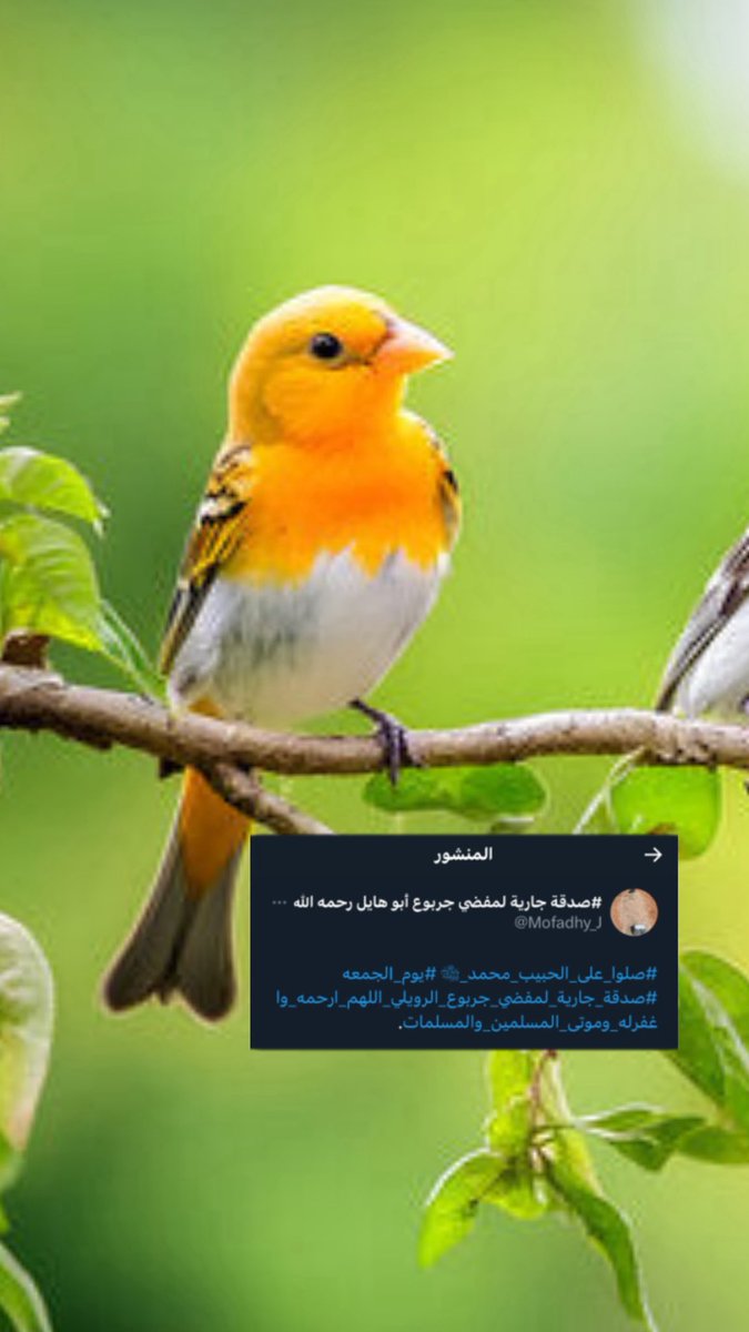 #صدقة جارية لمفضي جربوع أبو هايل رحمه الله tweet media