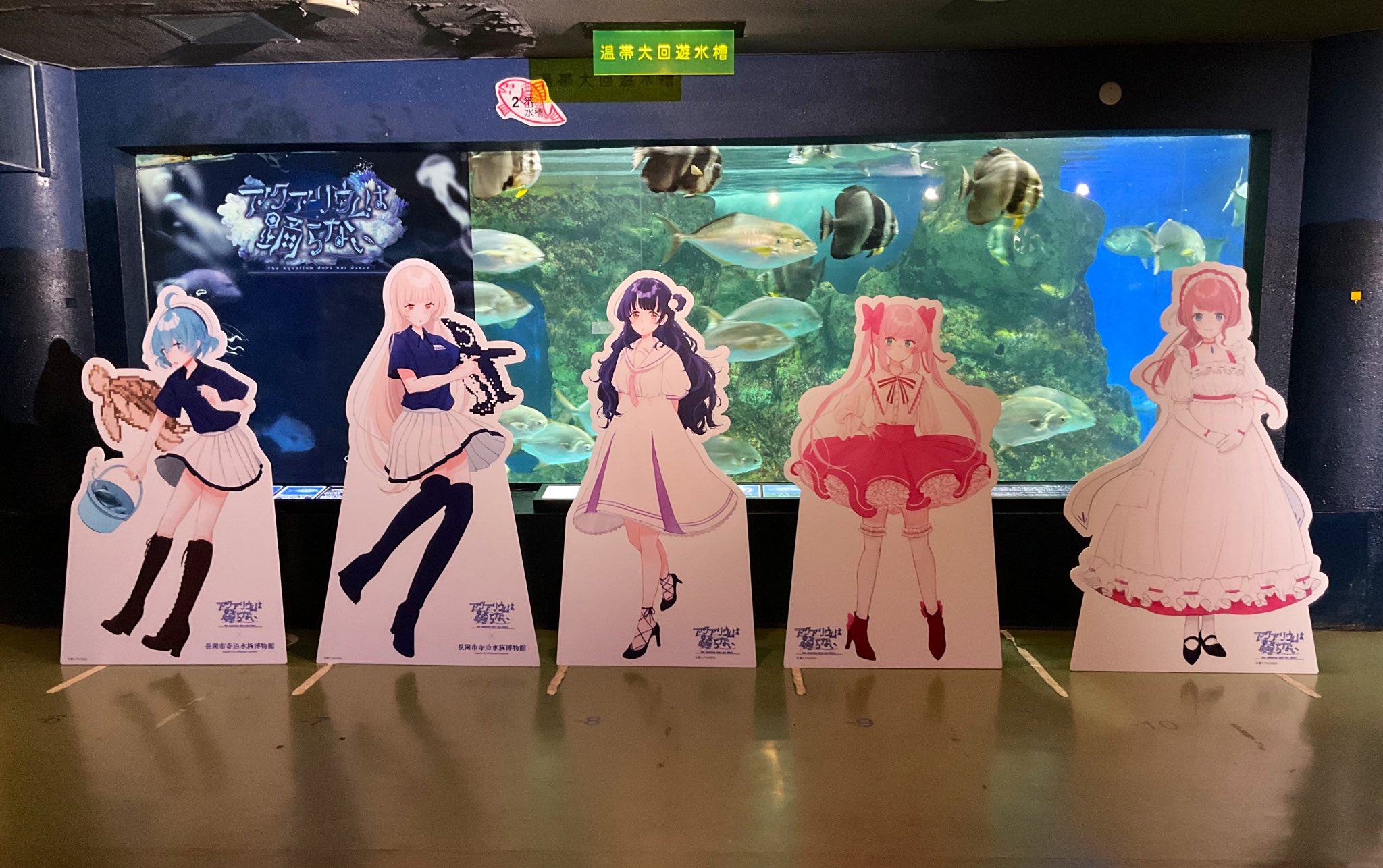 アクアリウムは踊らない』サンシャイン水族館コラボが10月10日スタート