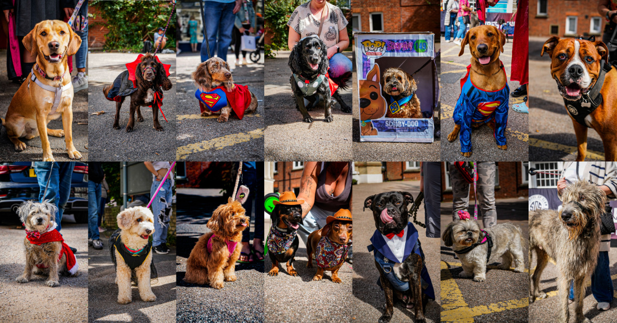 Invasion Colchester tweet media