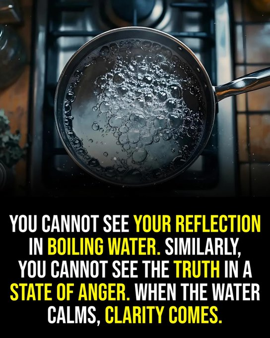 mindfulmaven_'s tweet photo. https://t.co/Rt3nkBtiJU
