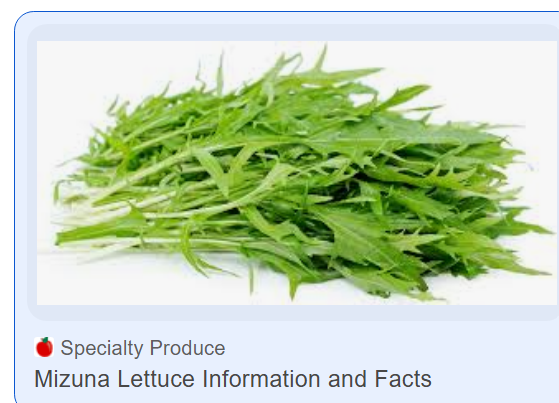 <a href="/Nigelj08223326/">Truthoverdishonesty</a> <a href="/trussliz/">Liz Truss</a> <a href="/geoffshumba/">Geoff Steambuff 💙 🇺🇦 @mrgeoffshumba on m.world</a> It's about time that Truss realised her 'true crawling' and joined Reform!
Think of the kudos of being able to count a former Prime Mizuna amongst Nige's ranks!
<a href="/AndrewW66619812/">Andy_Weeble_Weaver💙⚫🦋andy-weaver.bsky.social🗿</a> <a href="/stellastafford/">Stella Stafford 🍃 💚 🍃🦇🦇🦎🦎🕷️🕷️🦭🦭 🐌</a>