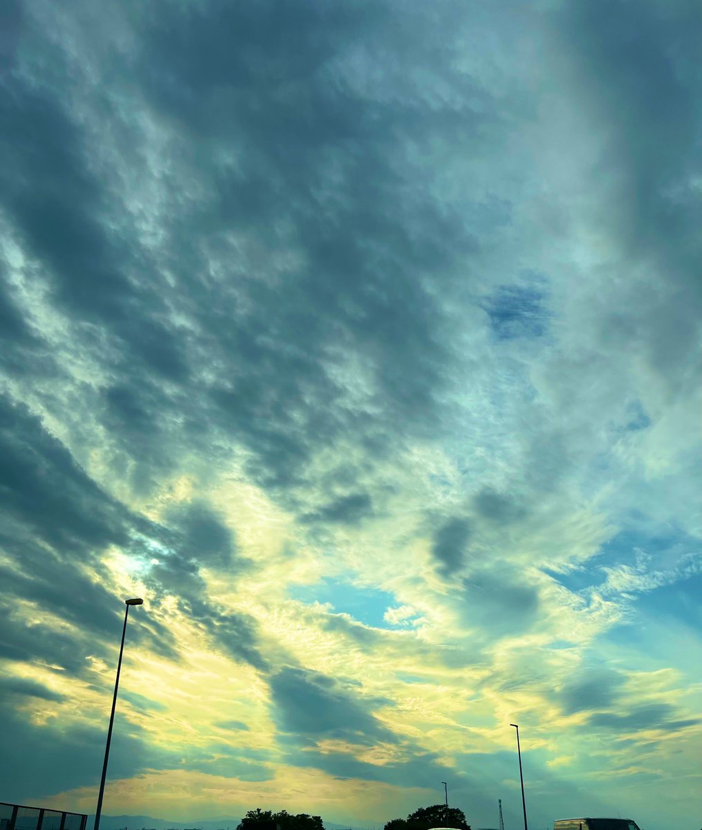お疲れ様です
帰りに少し寄り道しちゃったよー
今日も良い一日だった
よく飛び回ったよ
ありがとう
お疲れ様でした

＃あのぉ革命欲しいな
＃ハンギョドン
＃ありあとお
＃感謝