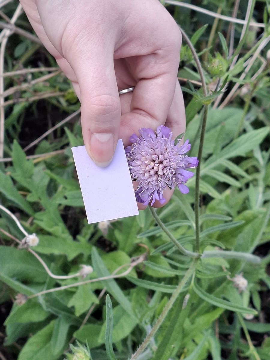 WeAreNatureCIC's tweet photo. Session 2 with Ayrshire College Early Years students
We explored senses in nature while encouraging them to step into the shoes of a pre-5 child.
Out of their comfort zone at first, but soon laughter, play &amp; inspiration filled the session 💡
Funded by @SafeDeposits 
#skillshare https://t.co/NAC4RoQdRr