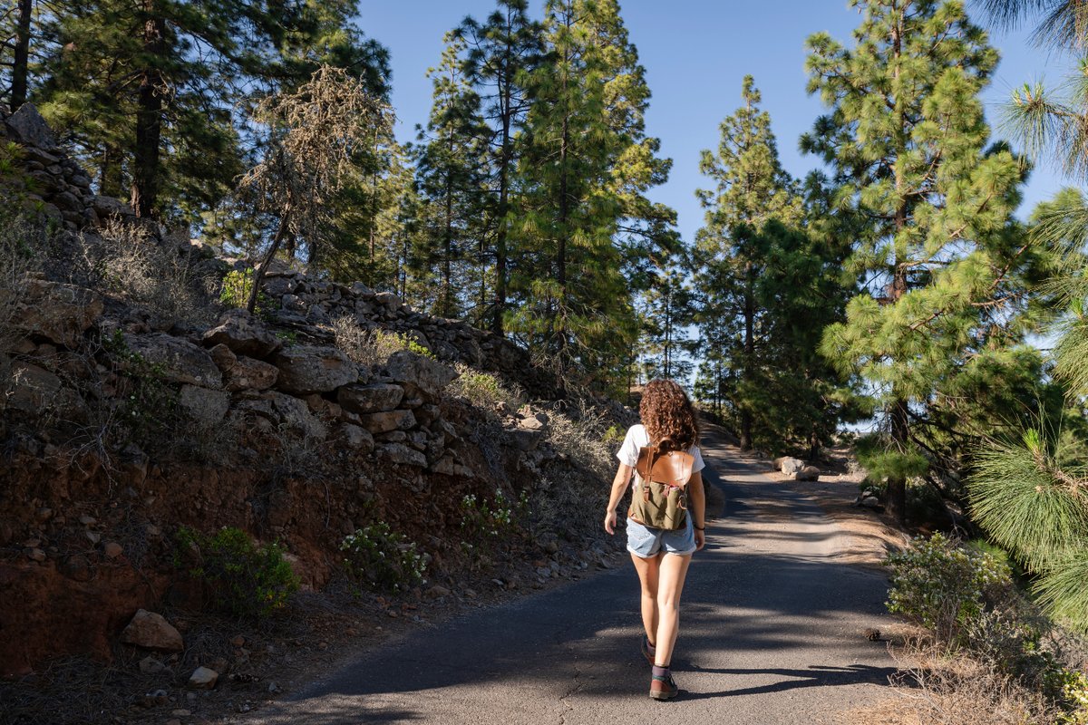 costa_adeje's tweet photo. 🖼️ ¿Es una postal?
🥰 Casi. Es lo que contemplas en los senderos de Tijoco Alto.
✨ Apúntalo.
#CostaAdeje #EnCuerpoyMente #Adeje #Senderismo #Trekking #Adejetrekking #Pasear #TijocoAlto https://t.co/HDGbvWyoY5