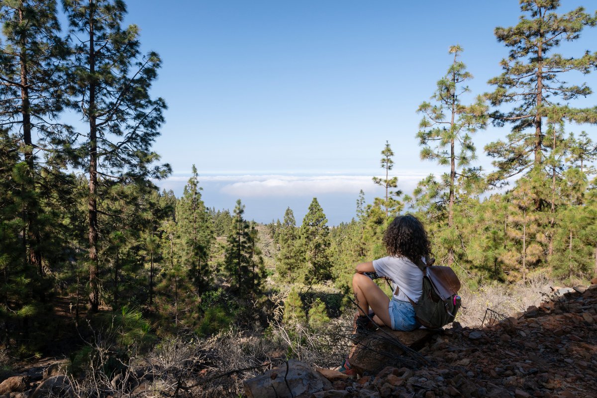 🖼️ ¿Es una postal? 

🥰 Casi. Es lo que contemplas en los senderos de Tijoco Alto.

✨ Apúntalo. 

#CostaAdeje #EnCuerpoyMente #Adeje #Senderismo #Trekking #Adejetrekking #Pasear #TijocoAlto