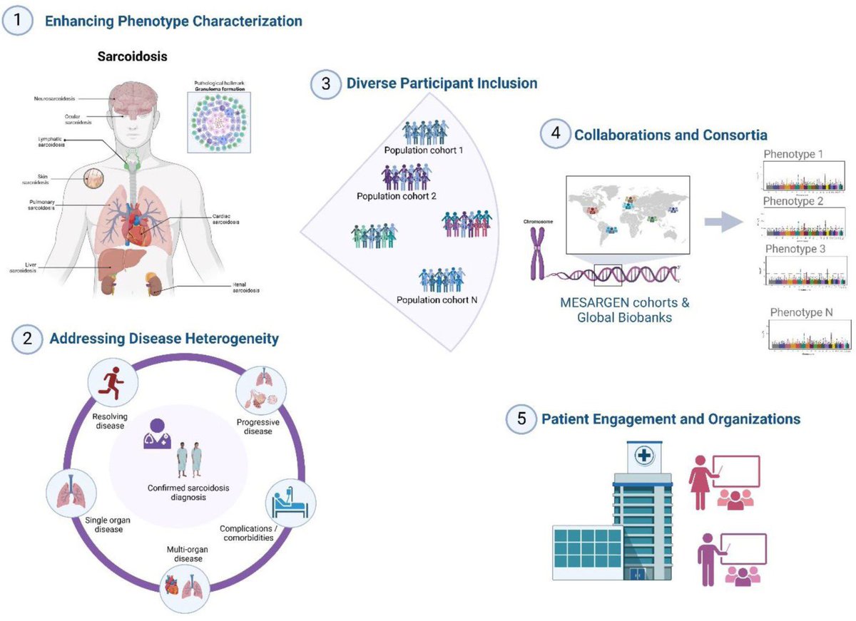 🧬 Unraveling genetics in sarcoidosis: the latest editorial explores the next steps to better understand this disease in #ArchivosdeBronconeumología

🔗 Access here: n9.cl/jq8v0

#SEPAR