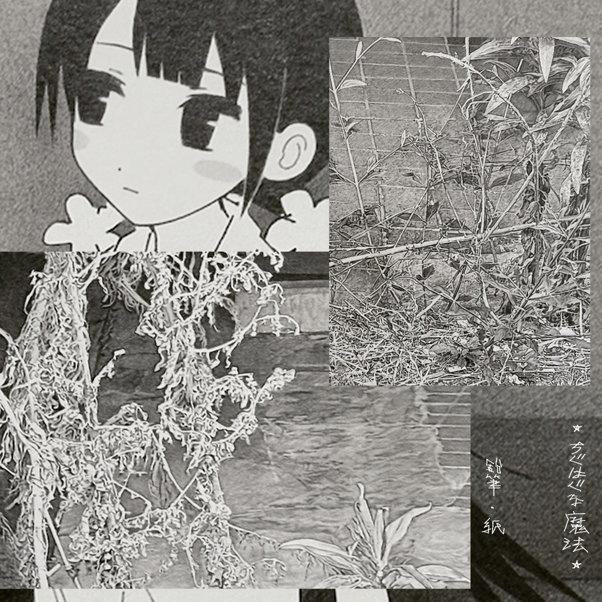 玖雨子 tweet media