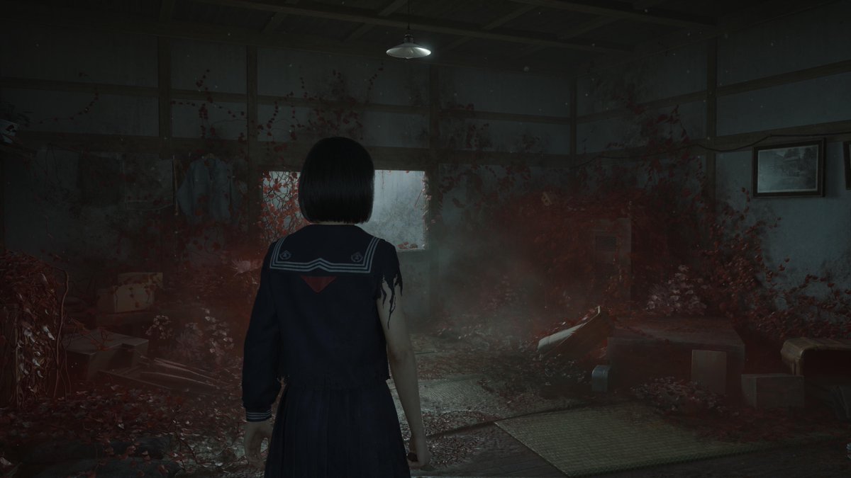 ねこどりくんの家に来た