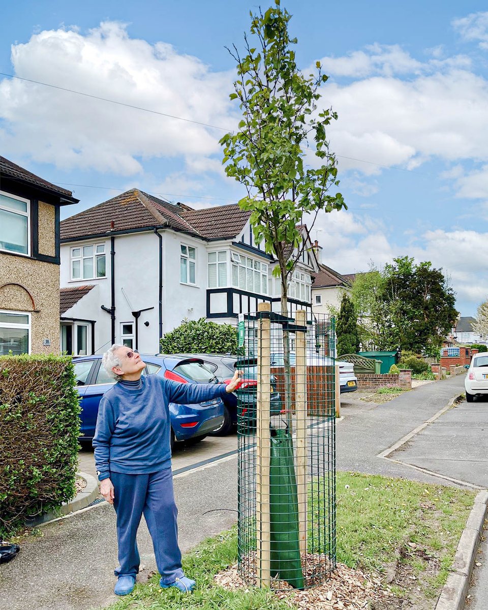 Trees for Streets tweet media