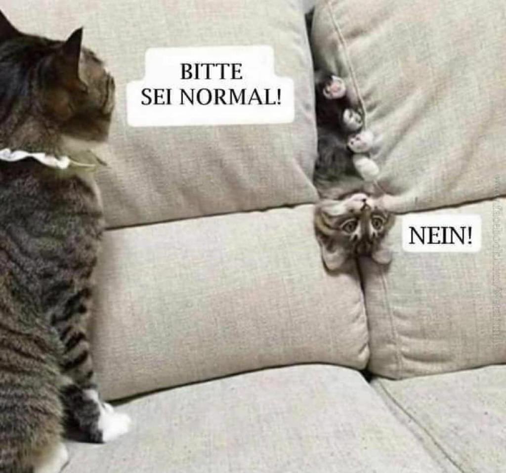 "Normal" sind schon so viele.