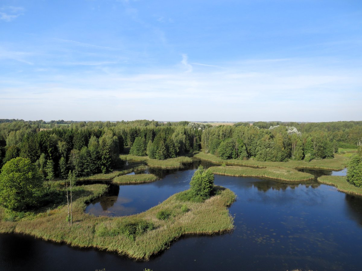 gunitakolle's tweet photo. Kirkilu ezers un skatu tornis. Lietuva, 20.09.2025. https://t.co/QC1lLMYjYu