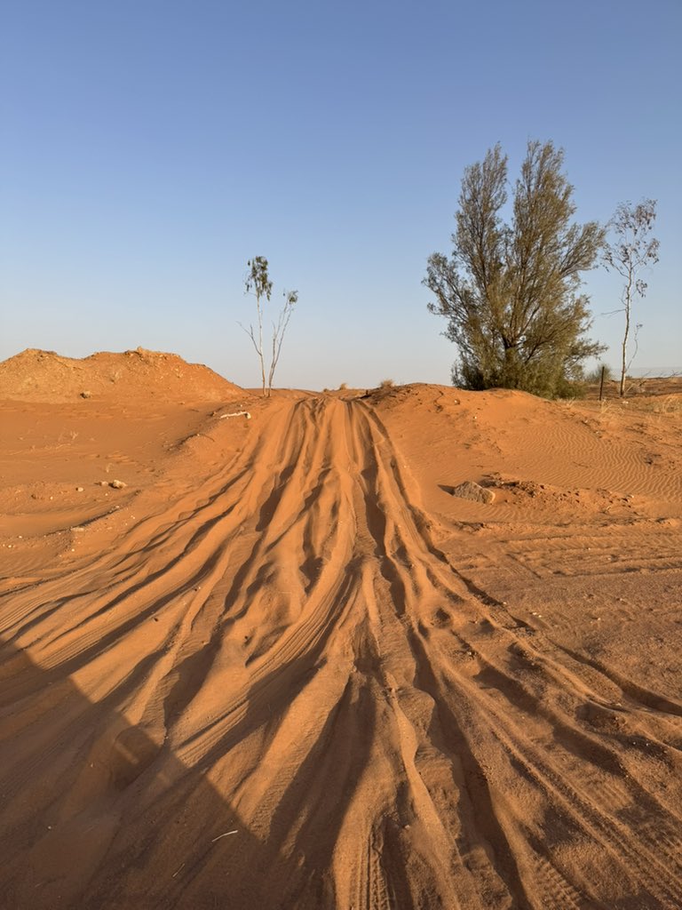 المكشاتي tweet media