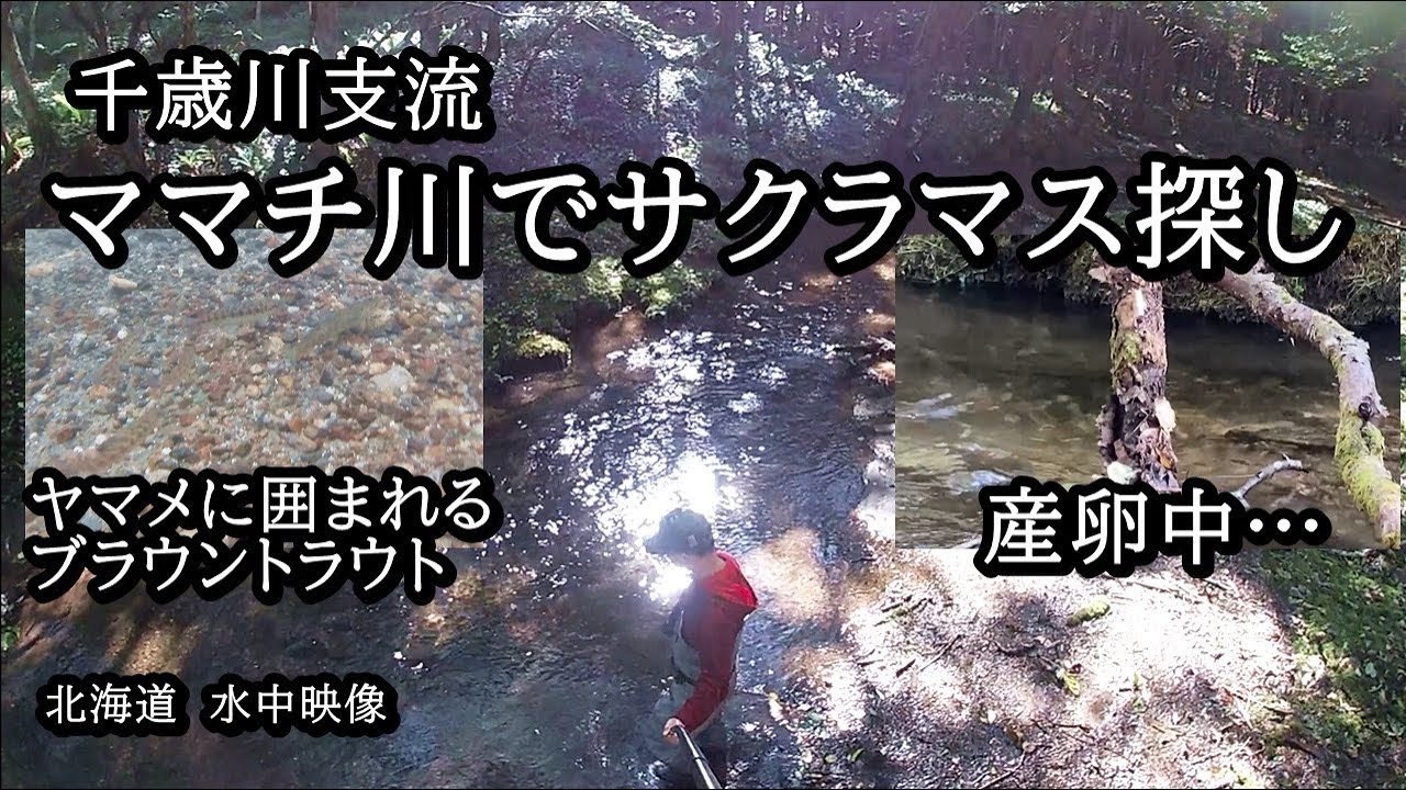 Windのっと 💩 (@Wind29104496) / X
