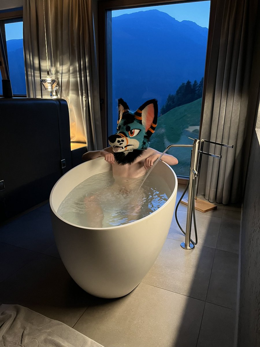 🐾Finn 🔜 Awoostria tweet media