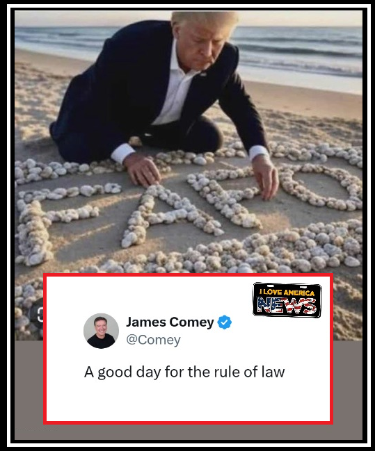 ILA_NewsX's tweet photo. @DonaldJTrumpJr Lock him up. https://t.co/CkMdiK1jZB