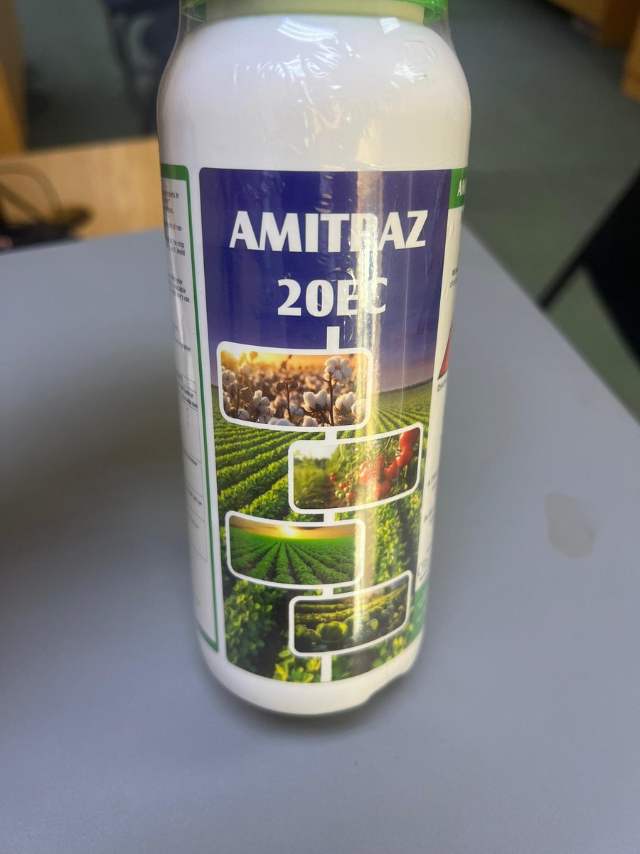 ForwardMakasi1's tweet photo. #REDSPIDERMITE is a tiny, spider - like pest that can cause significant damage to plants, especially #tomatoes. It feeds on plant sap, causing bronzing of leaves & defoliation. Use #AMITRAZ20EC a translaminar acaricide to control the pest. 500mls/ha.
#FarmersFirstChoice https://t.co/riBs1fyAH3