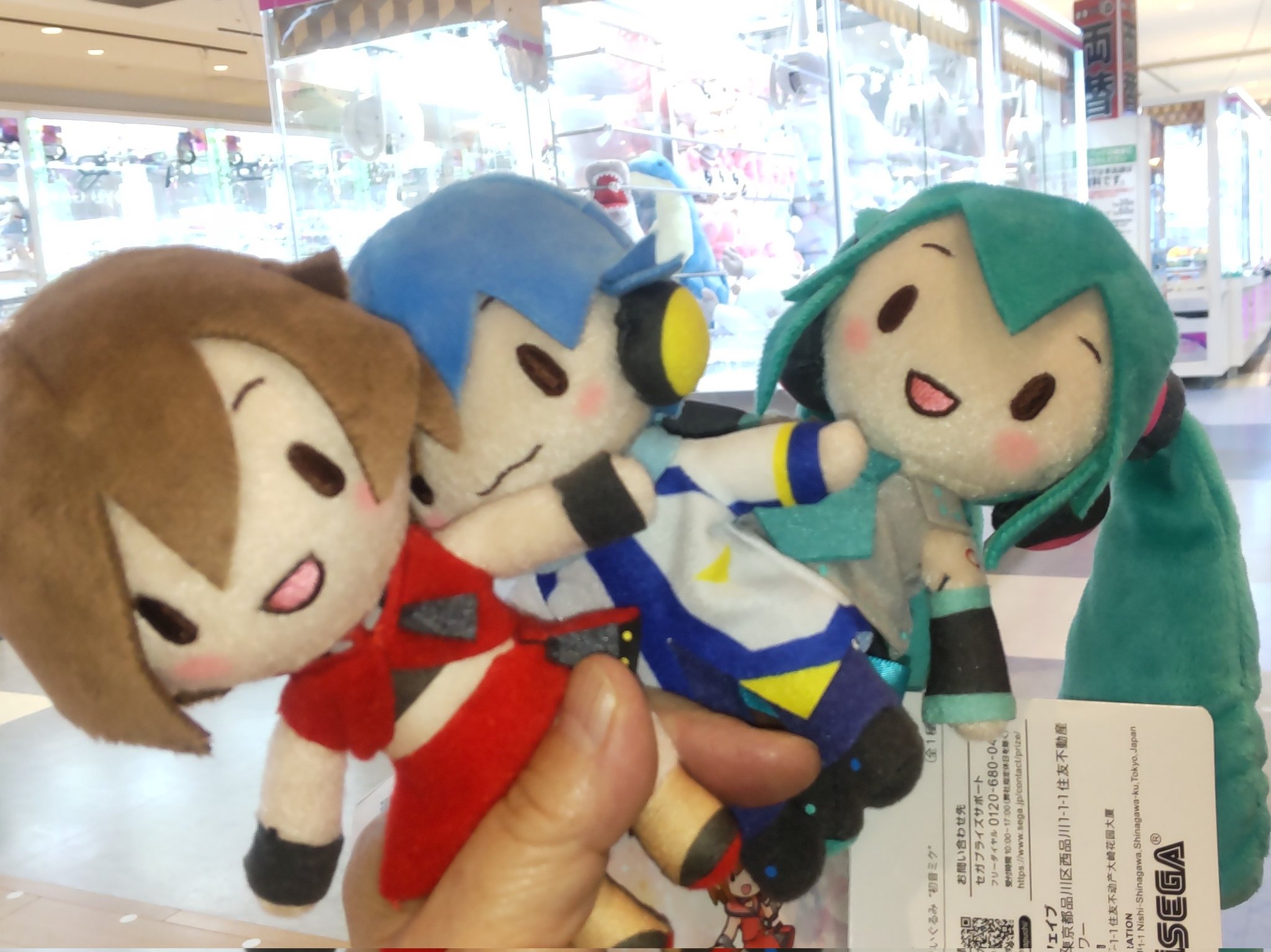 あの仲良し兄妹のぬいぐるみ あの仲良し兄妹のぬいぐるみ Amazon.co.jp: 豆しば三兄弟
